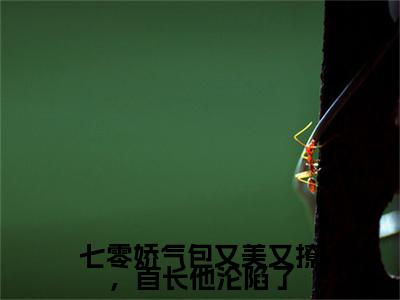 叶桃霍廷武（七零娇气包又美又撩，首长他沦陷了/叶桃霍廷武：结局+番外）全文免费阅读无弹窗大结局_(七零娇气包又美又撩，首长他沦陷了)最新章节列表_笔趣阁（叶桃霍廷武/七零娇气包又美又撩，首长他沦陷了：结局+番外）