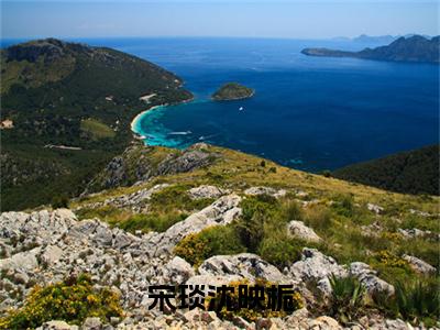 （宋琰沈映栀）宋琰沈映栀宋琰沈映栀无删减小说在线无广告高口碑小说
