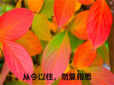 盛云漫顾时宴完结篇(从今以往，勿复相思)完整章节列表_笔趣阁：后续+畅读，从今以往，勿复相思免费一读到底全程无广大结局_（盛云漫顾时宴后续+完结）