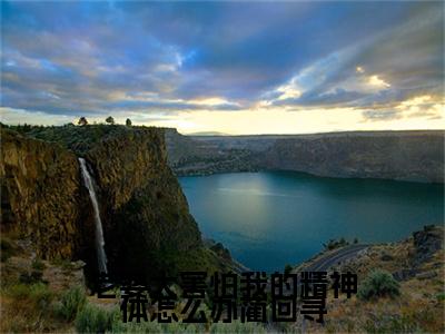终章小说容书蔺回寻完结篇(老婆太害怕我的精神体怎么办蔺回寻)已更新+延伸（容书蔺回寻）清爽版