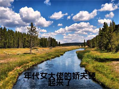 年代女大佬的娇夫硬起来了(沈寄舟傅思涵)：结局+番外评价五颗星