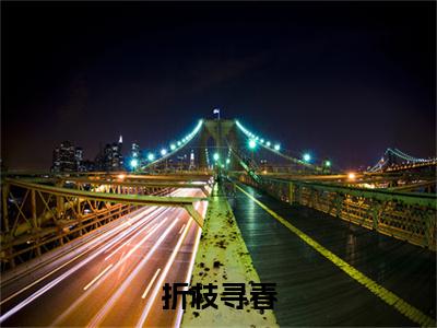 最新章节（折枝寻春）赵新玲：结局+番外精品选集附加章节列表