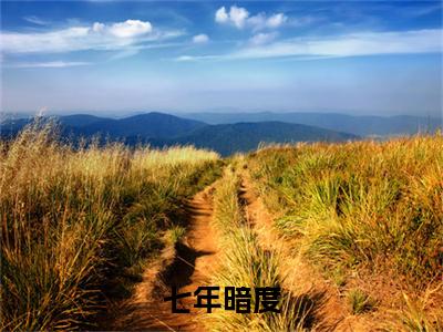 七年暗度附加顾景琛苏眠：结局+番外免费品鉴（七年暗度）全本浏览阅读连载中