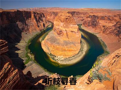 赵新玲小说(折枝寻春)章节目录+起始篇章（赵新玲）全章无套路在线