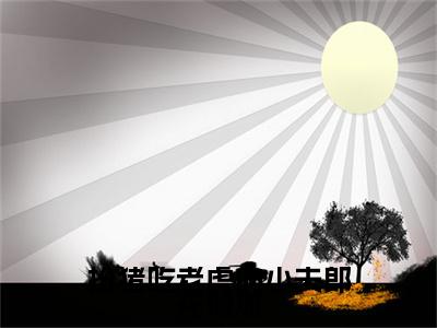 扮猪吃老虎的小夫郎花倾城终章（花倾城）完整章节列表_笔趣阁