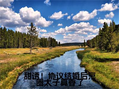 沈昭昭荣鹤尧附加(沈昭昭荣鹤尧)（甜诱！协议结婚后京圈太子真香了）全本浏览阅读连载中