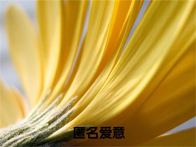 匿名爱意陆风停林初雪特别篇章节目录+章节前文（陆风停林初雪）TXT清爽版在线