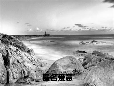 （陆风停林初雪）匿名爱意最终篇章(匿名爱意)全书在线无广告高口碑小说