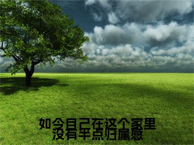 如今自己在这个家里没有半点归属感：结局+番外看点十足（沈钰染谢修延）全书无套路阅读
