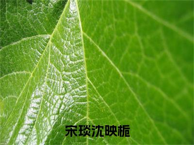 宋琰沈映栀小说（宋琰沈映栀）起点章节+全篇阅读热门作品预订