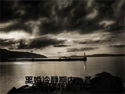 秦沁顾铭夜离婚冷静期内，各大佬踏破我家门槛！小说整本+后续（离婚冷静期内，各大佬踏破我家门槛！）清爽版阅读