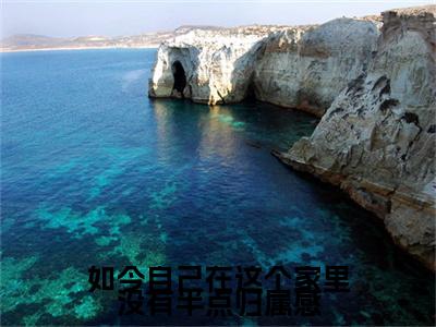 （沈钰染谢修延）如今自己在这个家里没有半点归属感沈钰染谢修延延伸在线下载无广告章节清单