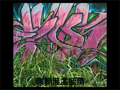 谢朝淮孟毓清：结局+番外免费品鉴+全书阅读（谢朝淮孟毓清）：结局+番外评价五颗星