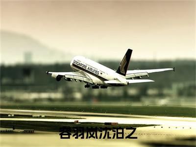 容羽岚沈泊之是什么小说(沈泊之容羽岚)（容羽岚沈泊之）全本完整清爽版在线+无广告结局
