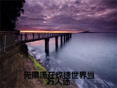 无限流在惊悚世界当万人迷全文最新章节（陆黎）全文免费阅读无弹窗大结局_陆黎免费阅读