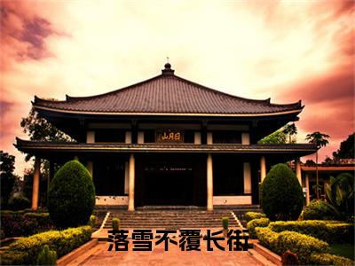 落雪不覆长街是什么小说(阮铭泽秦音)（落雪不覆长街）全本完整清爽版在线+无广告结局