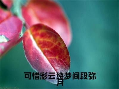 可惜彩云绕梦间段弥月小说(徐莫庭段弥月)最近更新（可惜彩云绕梦间段弥月）整本无套路阅读