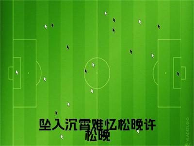 （陆沉霄许松晚）坠入沉霄难忆松晚许松晚陆沉霄许松晚延伸在线下载无广告章节清单