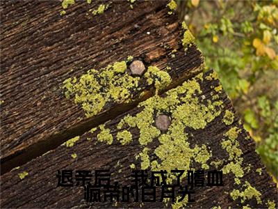 高分_退亲后，我成了嗜血疯帝的白月光(林昭月萧恹)（退亲后，我成了嗜血疯帝的白月光）全本完整阅读