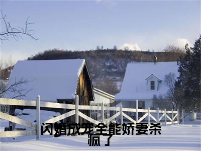 前传顾宠儿顾景北续集(顾宠儿顾景北)终章阅读极简（顾宠儿顾景北）
