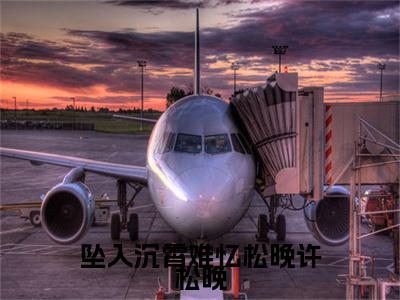 陆沉霄许松晚（坠入沉霄难忆松晚许松晚）全文免费阅读大结局_坠入沉霄难忆松晚许松晚无弹窗结局+番外看点十足