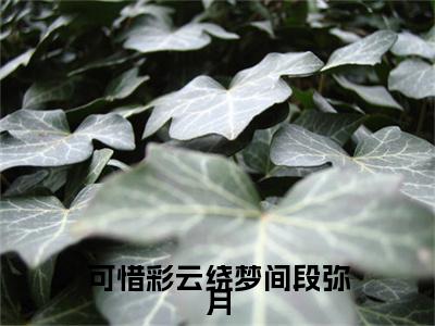 徐莫庭段弥月：结局+番外全文免费阅读无弹窗大结局_（徐莫庭段弥月）徐莫庭段弥月：结局+番外最新章节列表_笔趣阁（徐莫庭段弥月）