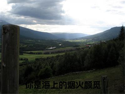 终章小说韩震颜觅小说(韩震颜觅)已更新+番外篇章（你是海上的烟火颜觅）无广告