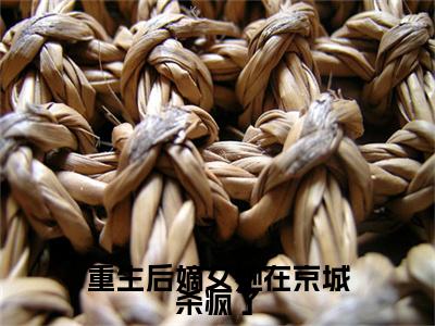 小说结尾小说穆芷青小说全章已更新+无删减（重生后嫡女她在京城杀疯了）无弹窗