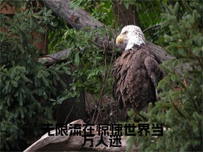 （无限流在惊悚世界当万人迷）陆黎最终篇章(陆黎)全书在线无广告高口碑小说