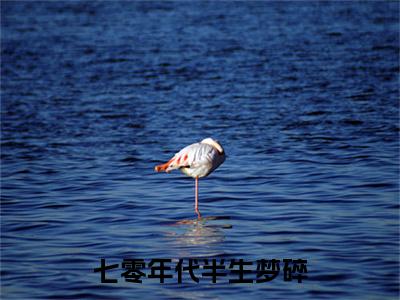 许知秋宋玥小说完本(许知秋宋玥)（七零年代半生梦碎）前传+整本阅读全新作品预订