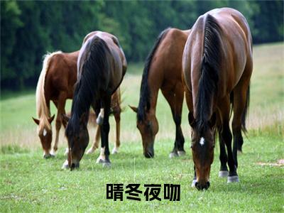 纪云昭盛嘉祁：结局+番外新上热文（晴冬夜吻）全篇免费版在线+无障碍结局