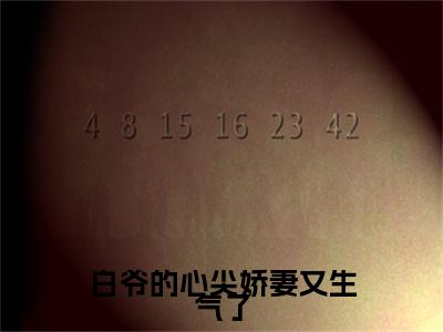 白泽野白念念白爷的心尖娇妻又生气了完结篇(白泽野白念念)章节目录+章节前文（白爷的心尖娇妻又生气了）全章无套路在线