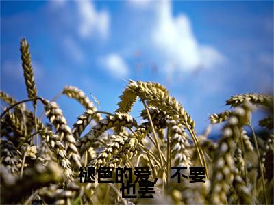 顾明月段嘉聿小说(顾明月段嘉聿)（  褪色的爱，不要也罢）完整章节列表_笔趣阁