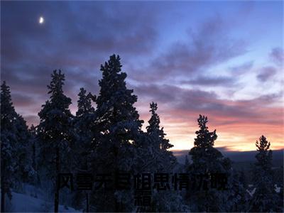 风雪无尽相思情沈晚霜小说最新试读_周时笙是（风雪无尽相思情沈晚霜免费阅读最新章节列表）_笔趣阁（周时笙）