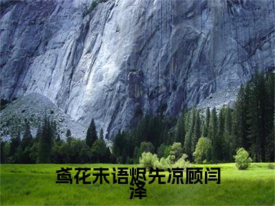 鸢花未语烬先凉顾闫泽（温泠鸢顾闫泽）结局+番外免费品鉴_鸢花未语烬先凉顾闫泽（鸢花未语烬先凉顾闫泽）免费在线阅读+后续评价五颗星