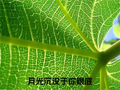 冷婉晴顾灼后续（月光沉没于你眼底）全篇在线阅读前传