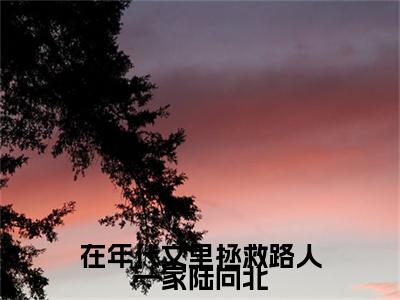 周书宁陆向北（在年代文里拯救路人一家陆向北）小说免费阅读无弹窗完整版_（在年代文里拯救路人一家陆向北）周书宁陆向北最新章节列表笔趣阁