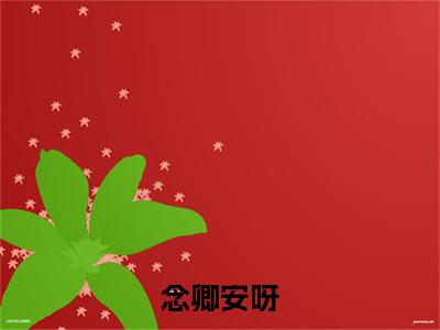 （书荒必看）周祈安念卿小说(念卿安呀)无删减在线下载阅读最终终章