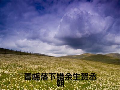 青梅落下错余生贺丞朝(沈听月贺丞朝)+前传（青梅落下错余生贺丞朝）：结局+番外评价五颗星