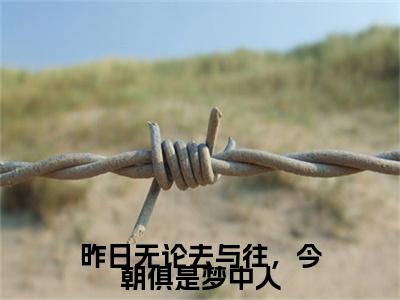 云舒顾寒川后续（昨日无论去与往，今朝俱是梦中人）全文在线下载在线+纯净版结局