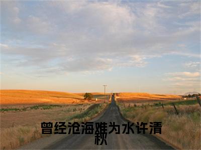 前传_笔趣阁（曾经沧海难为水许清秋）曾经沧海难为水许清秋小说(顾景瑜许清秋)章节在线阅读