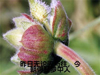 云舒顾寒川昨日无论去与往，今朝俱是梦中人完结篇(云舒顾寒川)章节目录+章节前文（昨日无论去与往，今朝俱是梦中人）全章无套路在线