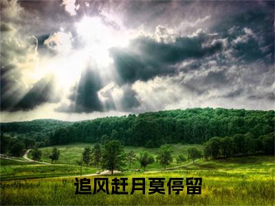 追风赶月莫停留（叶晚宁沈墨寒）全文免费阅读无弹窗大结局_叶晚宁沈墨寒全文免费阅读_笔趣阁（追风赶月莫停留）