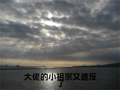 大佬的小祖宗又造反了小说完本+外篇（谢清浅夜擎琛）畅享阅读