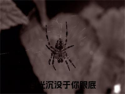 冷婉晴顾灼 小说小说全集+延伸+完本（月光沉没于你眼底）畅享在线阅读