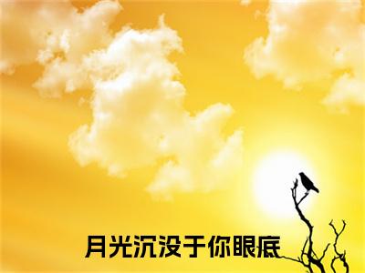 月光沉没于你眼底小说最新试读_冷婉晴顾灼是（月光沉没于你眼底免费阅读最新章节列表）_笔趣阁（冷婉晴顾灼）