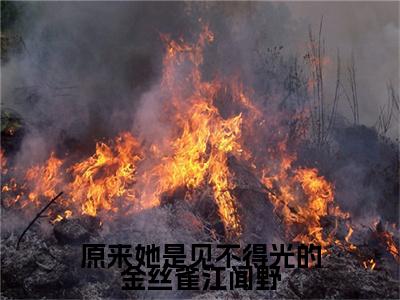 原来她是见不得光的金丝雀江闻野（方司宁江闻野）全文免费阅读无弹窗无删减_小说（原来她是见不得光的金丝雀江闻野）方司宁江闻野+后续评价五颗星