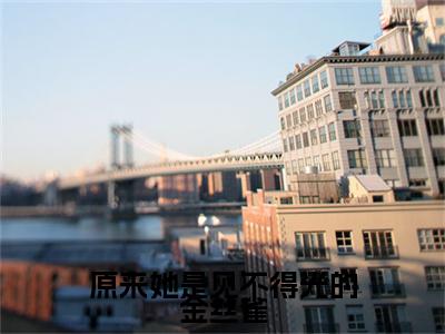 方司宁江闻野：结局+番外看点十足（原来她是见不得光的金丝雀）全书无套路阅读