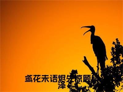 温泠鸢顾闫泽完结篇全篇阅读无广告（鸢花未语烬先凉顾闫泽）番外+续集