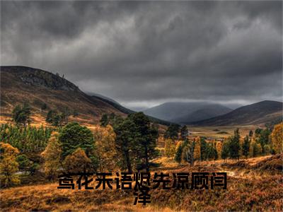 前传_笔趣阁（温泠鸢顾闫泽）温泠鸢顾闫泽小说(鸢花未语烬先凉顾闫泽)章节在线阅读